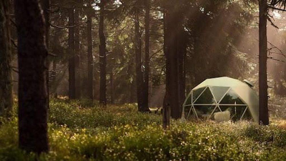 white geodesic dome in forest