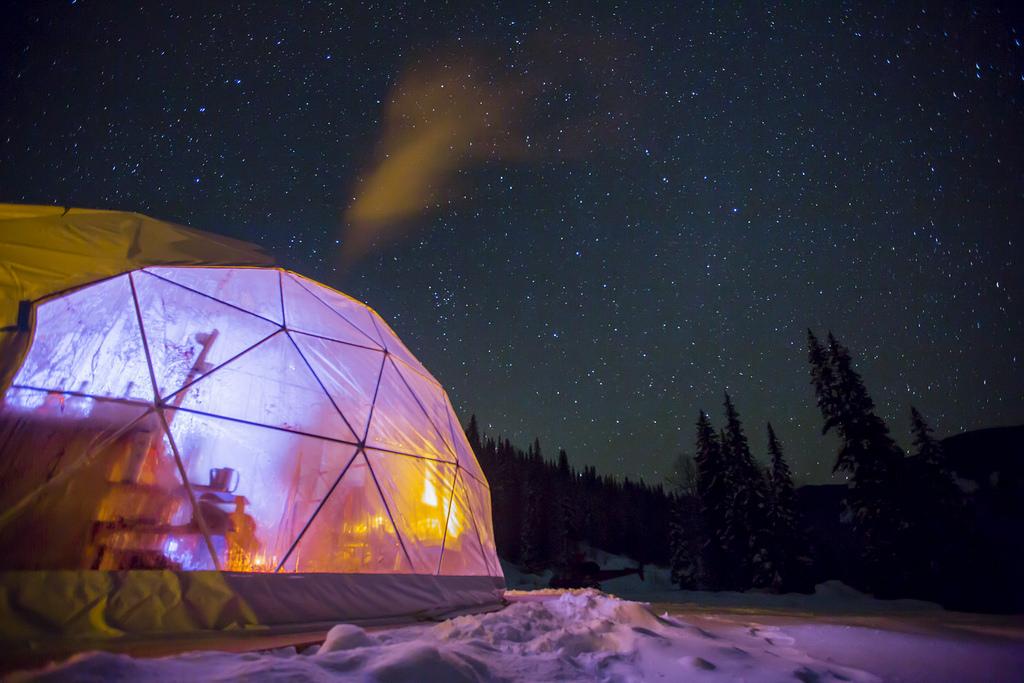 Geodesic 2025 dome shelter