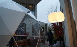 white geodesic dome and lamp
