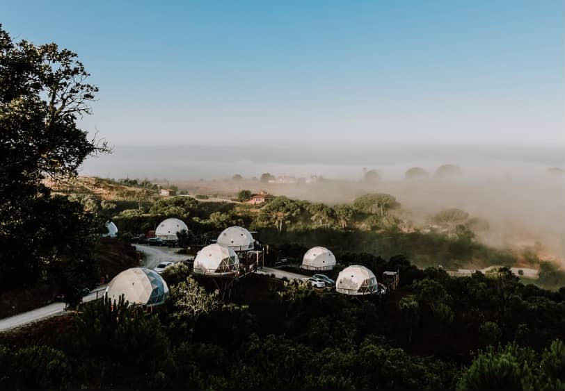 view of field with glamping white geodesic domes in the woods