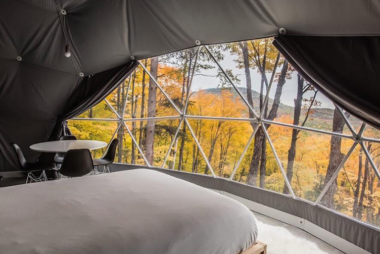 view of the forest from glamping geodesic dome in Canada