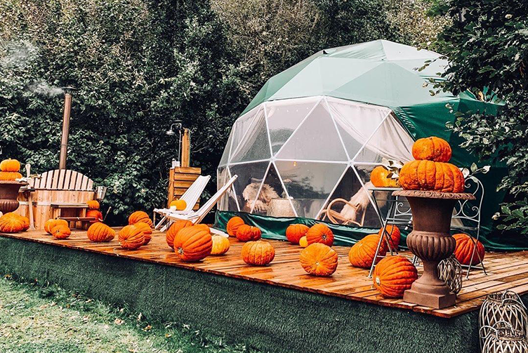 green geodesic dome with stack on wooden platform with autumn accessories