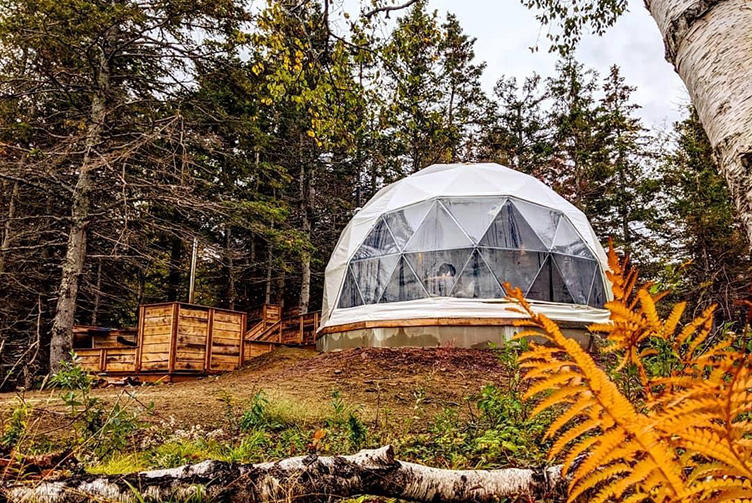 white geodesic dome in forest on wooden platform