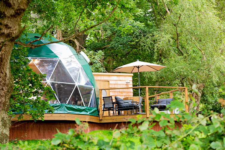 green geodesic dome in forest on wooden platform