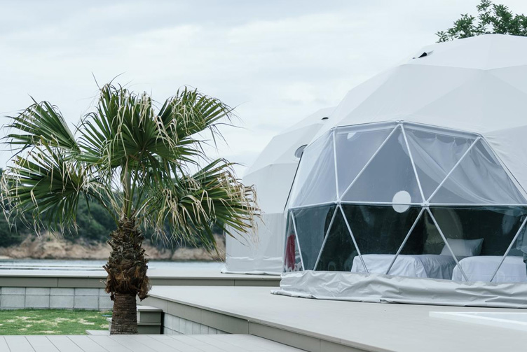 white glamping geodesic domes and a palm tree