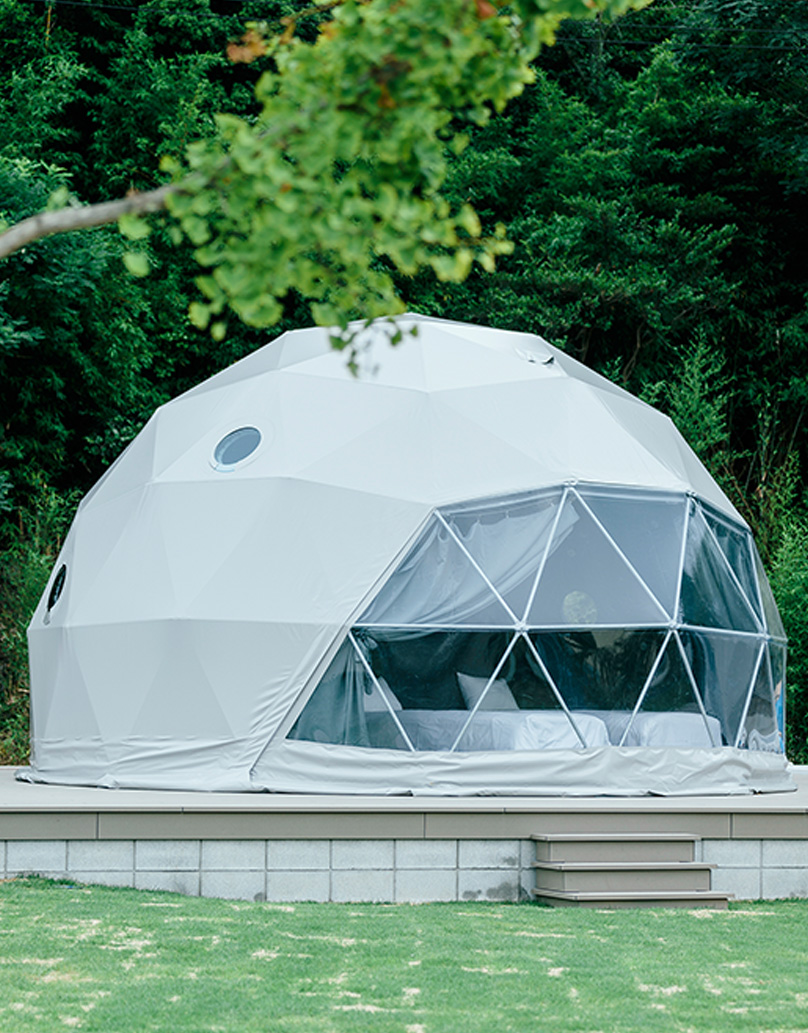 white geodesic dome in forest