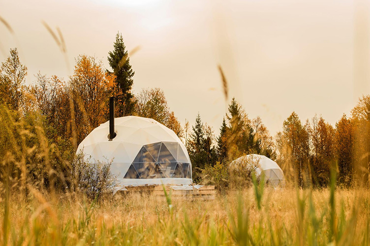 white geodesic domes with stack in forest in autumn