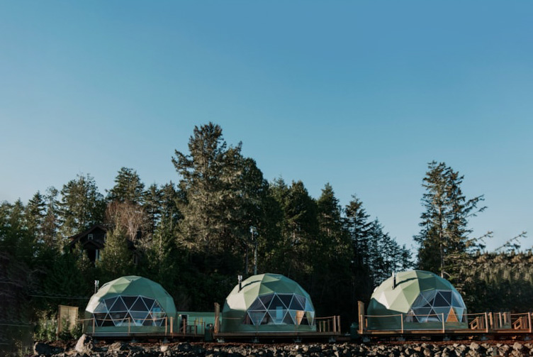 green geodesic domes in forest on wooden platform
