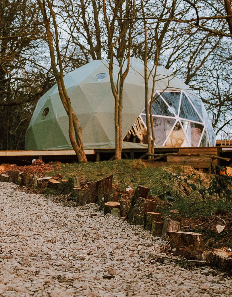 green geodesic dome in forest