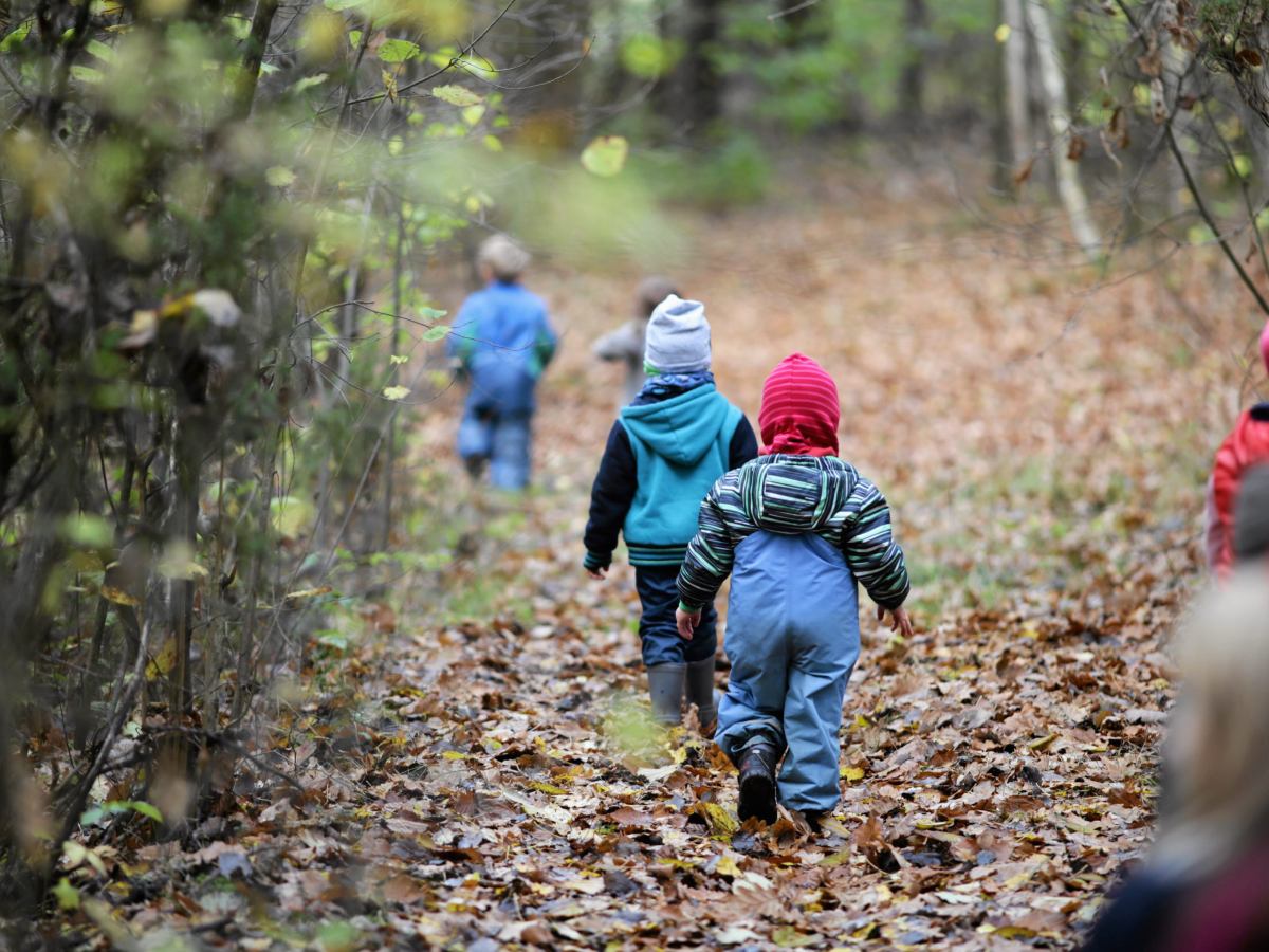 childrens in forest