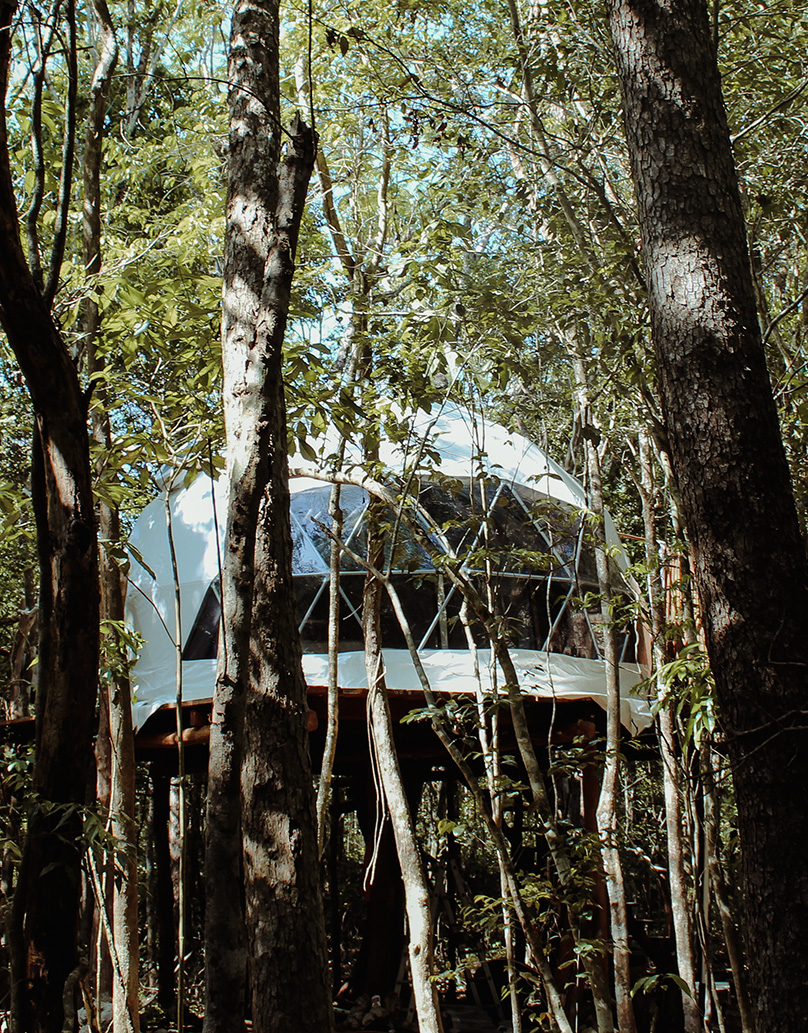 white glamping geodesic dome in behind the trees in the wood