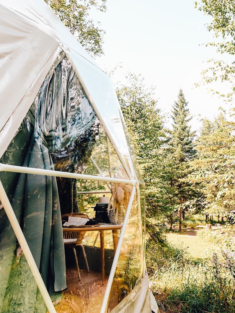 view of the geodesic dome window overlooking nature