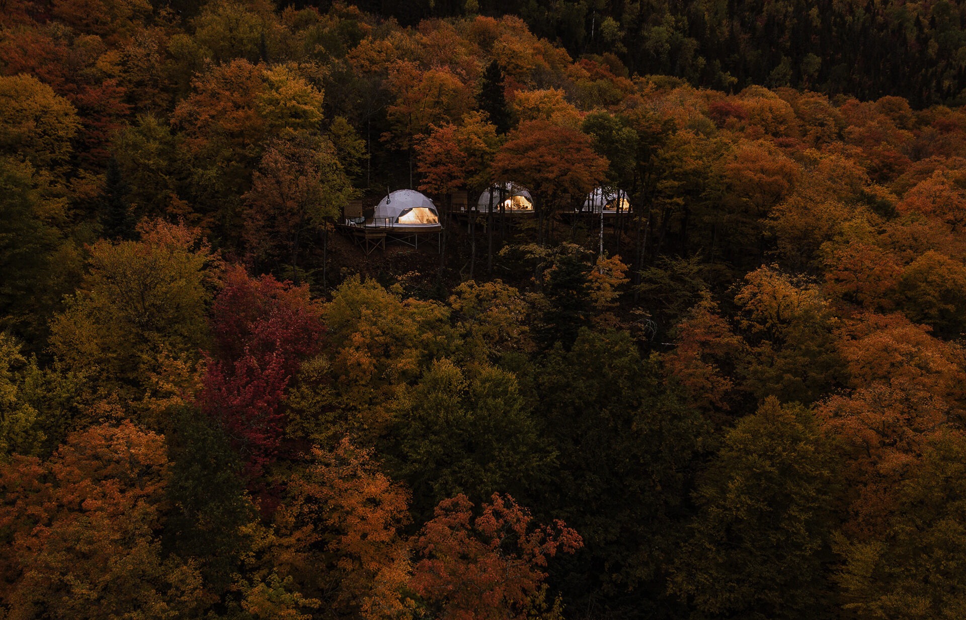 white geodesic domes on platforms in the treetops in autumn