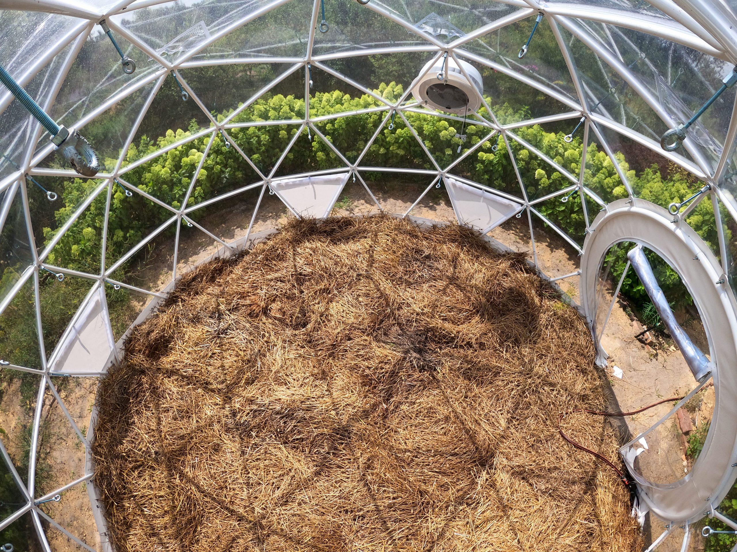 geodesic dome with transparent membrane