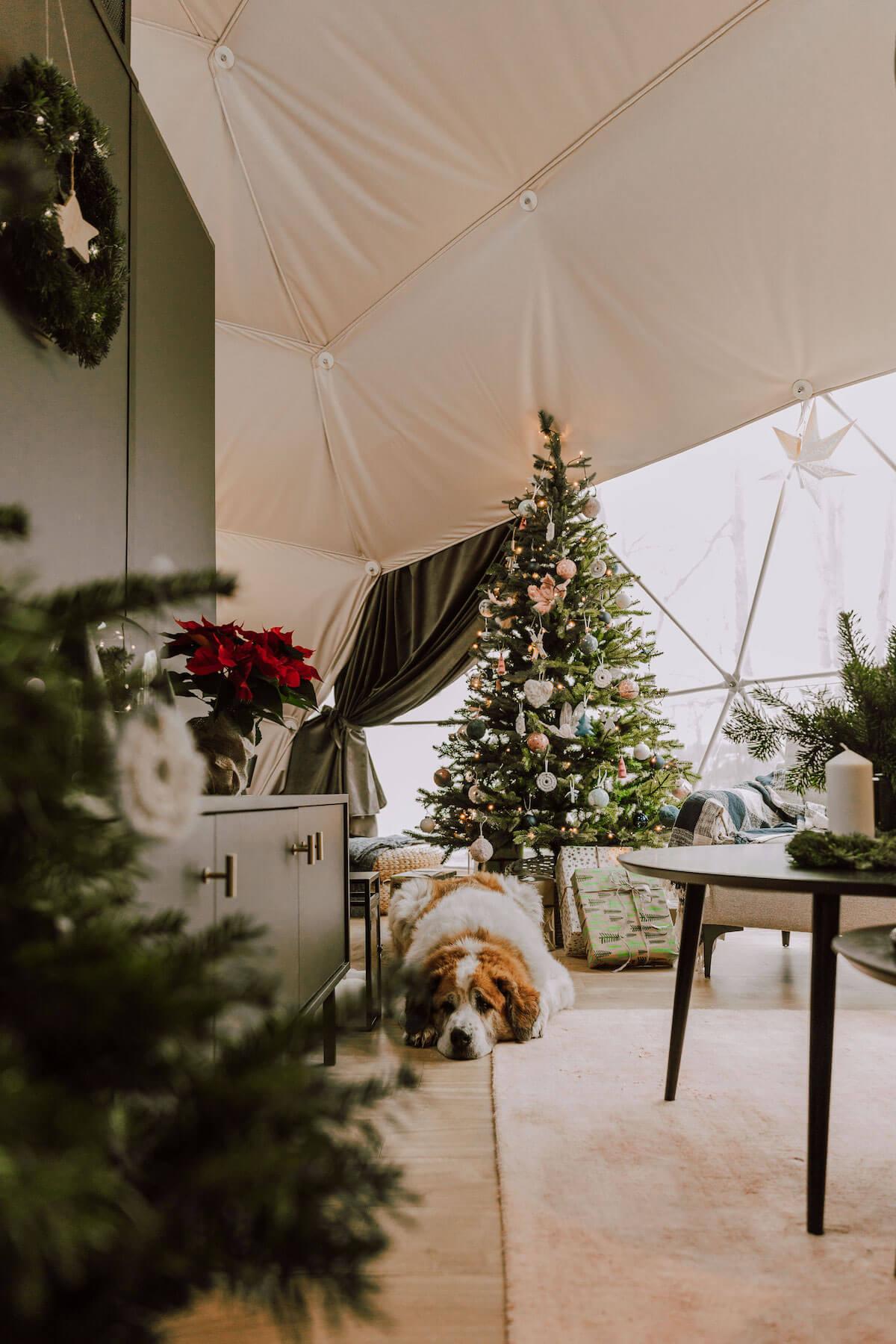 How to Decorate a Glamping Resort for the Holiday Season? Tips