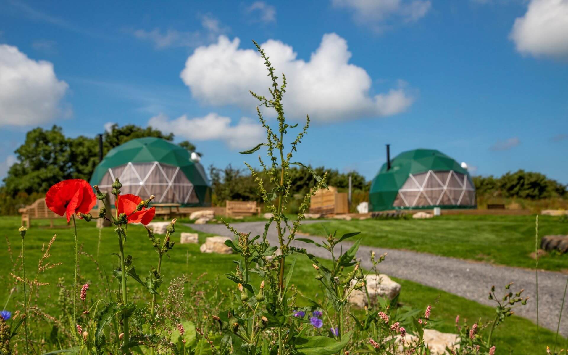 FDomes_Glamping_at_Brynteg_United_Kingdom