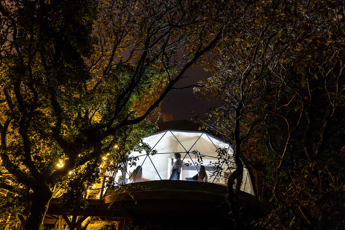 geodesic dome at night in forest