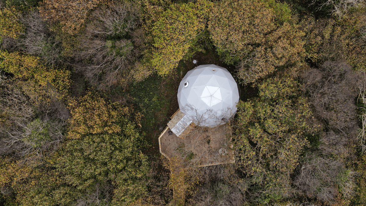 white geodesic dome in the middle of forest