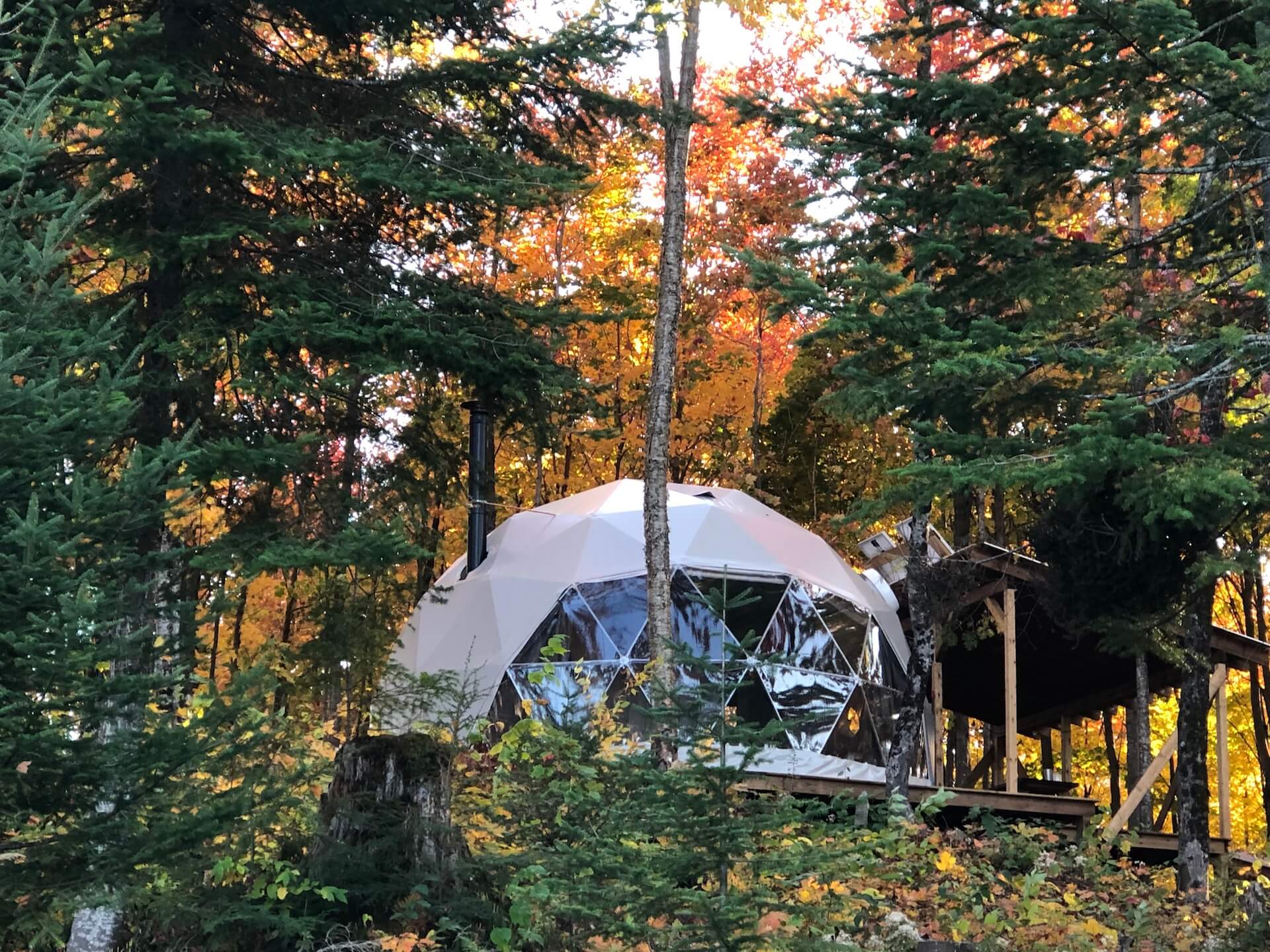 white geodesic dome on wooden deck in forest