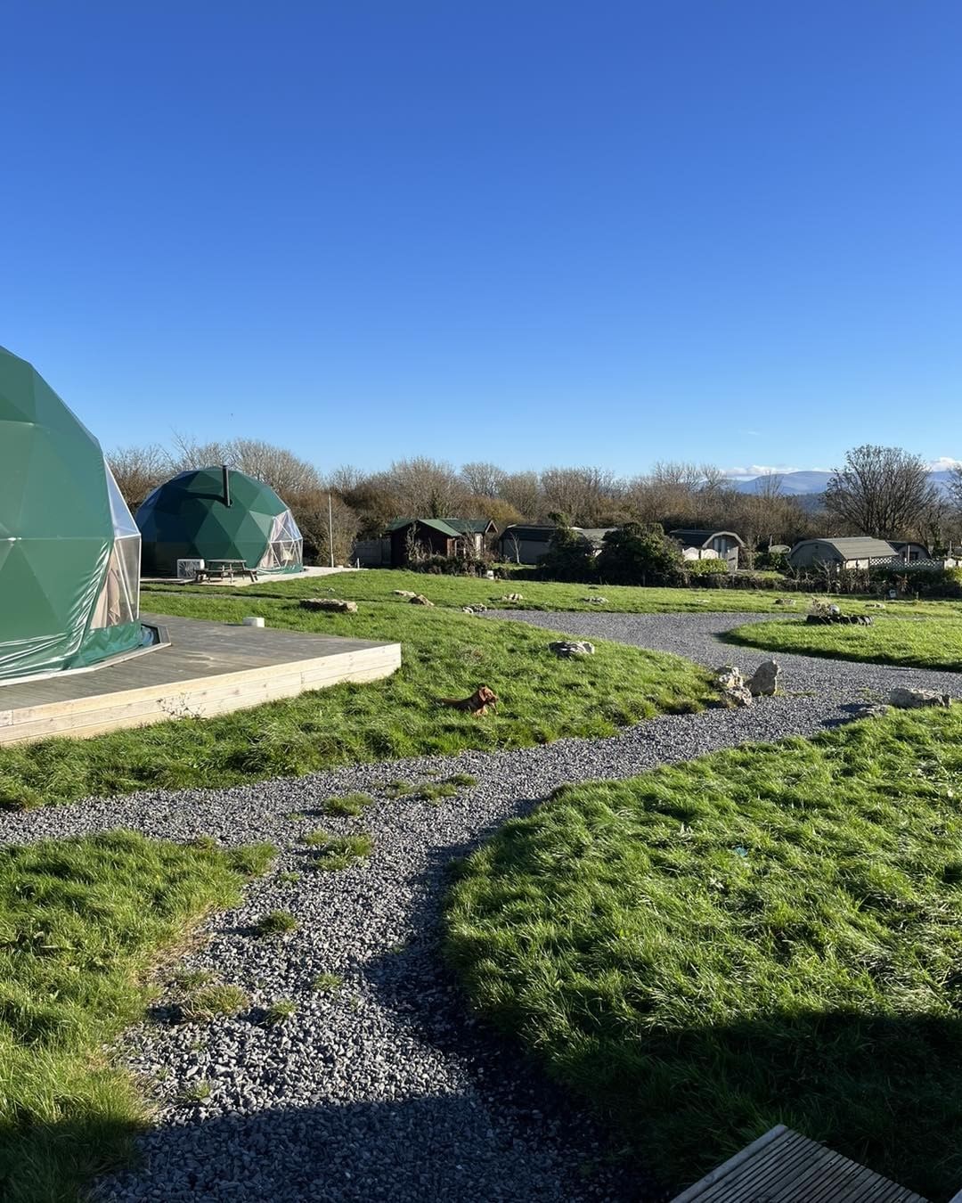 two green geodesic domes on the field
