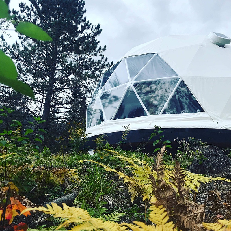 white geodesic dome in a forest