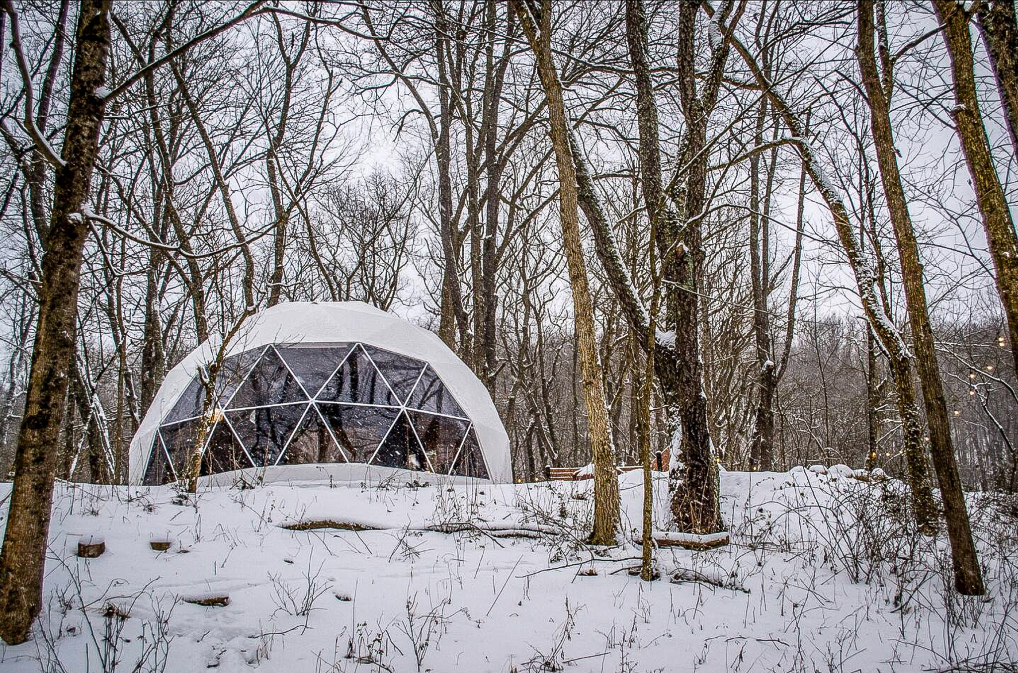 white geodesic dome in the snowy forest