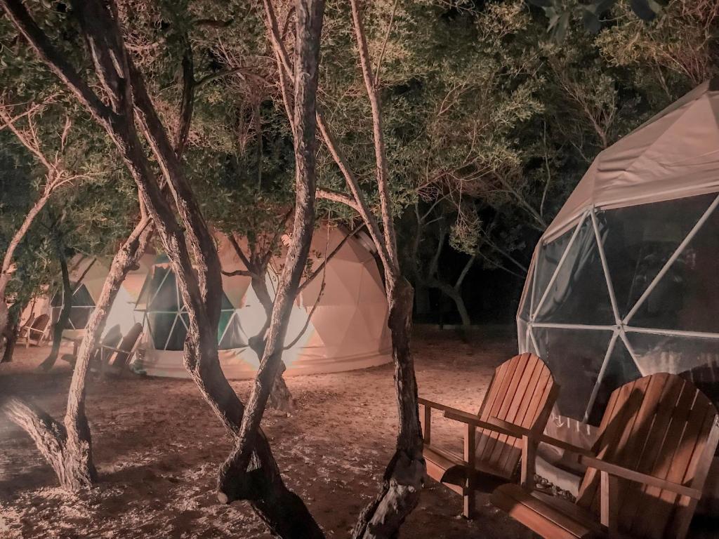 glamping domes at the night between woods