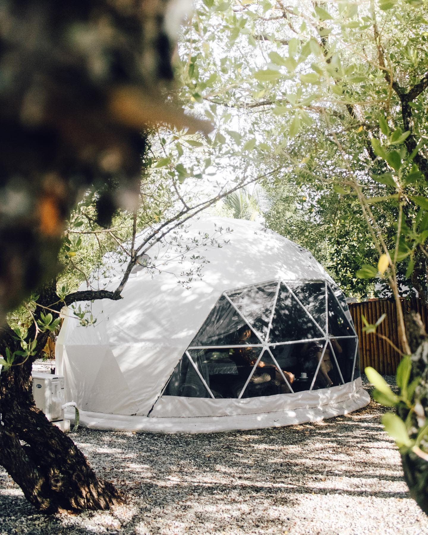 glamping dome at the day between woods