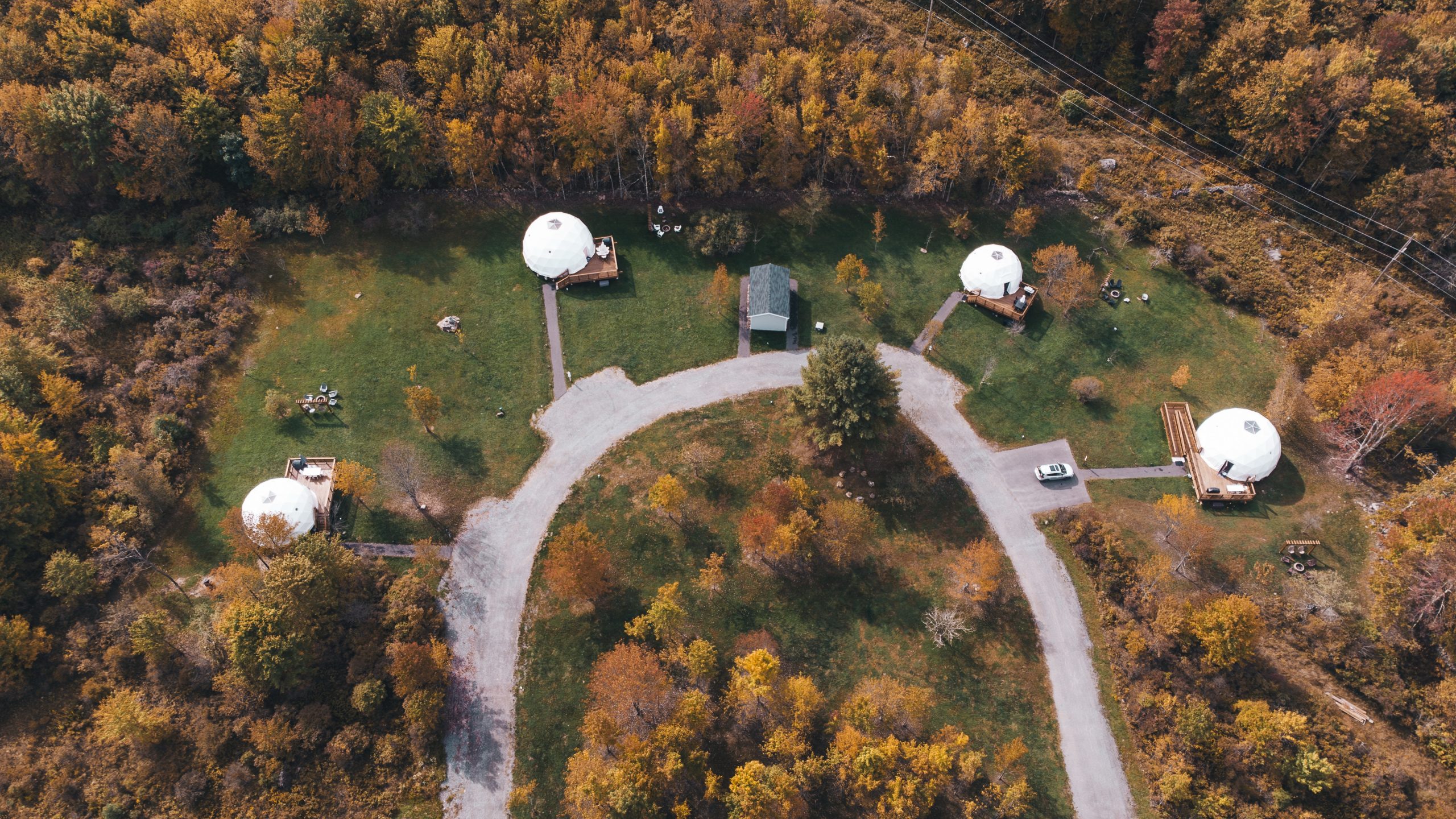 four white geodesic domes in the forest