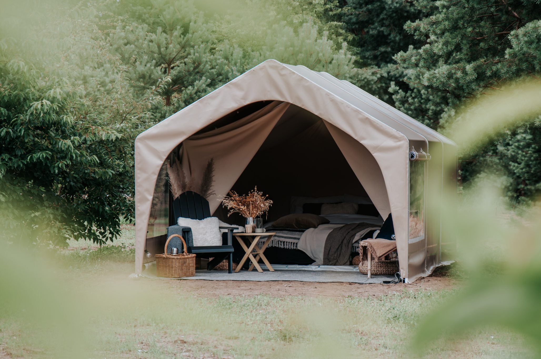 fdomes tent in the forest